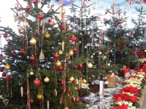 Blumengärten Hirschstetten Blumengärten Hirschstetten